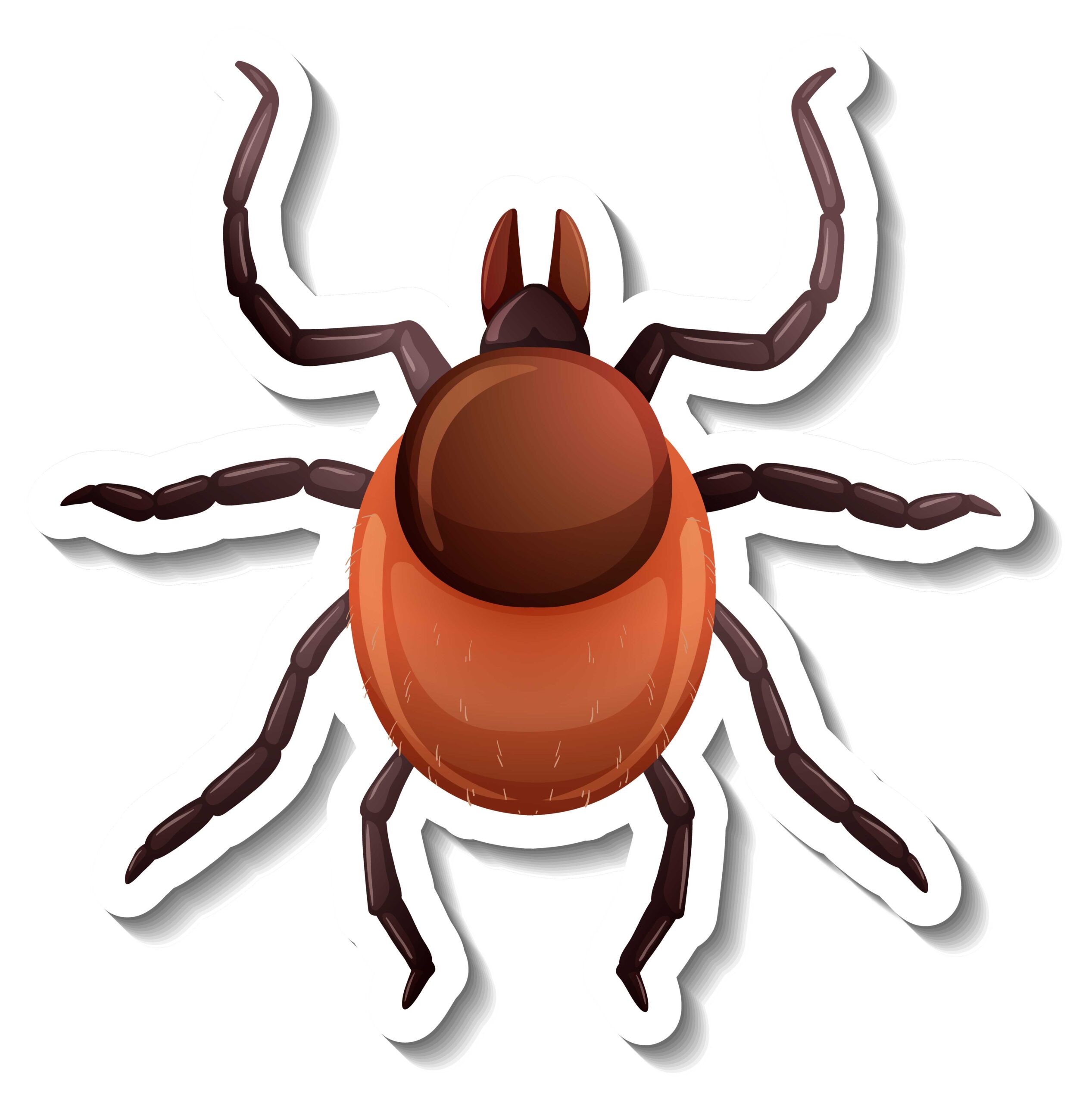 bed bugs control in vizag, bed bug services in vizag,